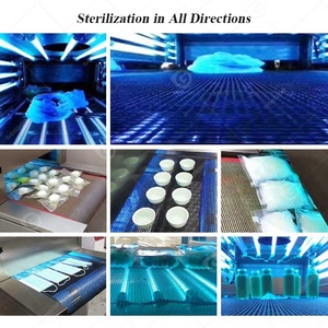 Equipo Comercial de Esterilización <span class=keywords><strong>Ultravioleta</strong></span> para Túneles, Esterilizador UV para Pan, Alimentos y Harina - Product Image 3