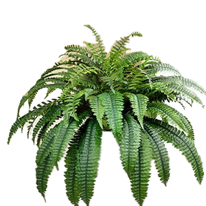 Feto di Boston Artificiale per Ufficio, Patio, Soggiorno, Portico, Finestra, Decorazione Rustica - Pianta Finta in Plastica - Product Image 6