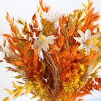 Herfst Haverkleur Gemengd Boeket Natuurlijke Gedroogde Bloemen Echt Bloemstuk Voor Huisdecoratie Groothandel Geconserveerde Planten Bloemen