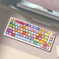 Clavier personnalisé mignon Keycap Hauteur personnalisée Premium