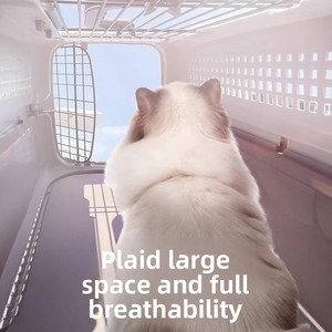 Cage de transport portable pour chien et chat, style spatial, conforme <span class=keywords><strong>IATA</strong></span>, pour les sorties et les voyages en voiture - Product Image 2
