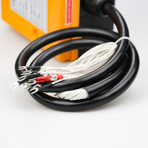 F23-A ++ Palăng điện cần cẩu điều khiển từ xa Giao hàng nhanh vật liệu nhựa Chức năng chống thấm nước sử dụng màn hình thay đổi mực nước - Product Image 3