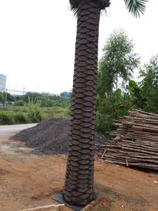 2025 tùy chỉnh trang trí ngoài trời sợi thủy tinh ngày cọ cây nhân tạo cao cấp cho sử dụng trong nhà - Product Image 4