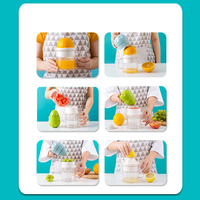 Multifunctionele Draagbare Huishoudelijke Fruitpers Plastic Molen Handmatige Veilige Sapcentrifuge Groenten Voor Keukenbenodigdheden