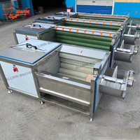 Automatische industriële fruit- en groentewasmachine Cassave Gember Aardappel Schilfuncties SUS304 Hoge efficiëntie 500-2000kg/u