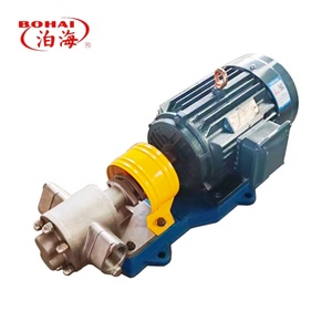 <b>Pump</b> KCB Gear Rust-Free Stainless Steel Steady Displacement Dry-Running Safe for Biofuel Industry - Product Image 6