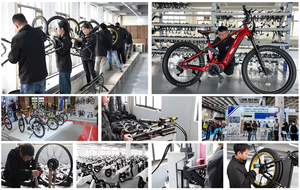 Wholesale OEM Ebike 48V 15Ah Lithium Battery Electric City <strong>Bike</strong> 26inch Step Thru Fat Tire Electric <strong>Bike</strong> - Product Image 5