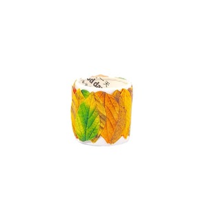 Autocollants créatifs pour plantes, différents champs de plantes à feuilles caduques, manuel de bricolage, autocollants décoratifs, 50 feuilles - Product Image 5