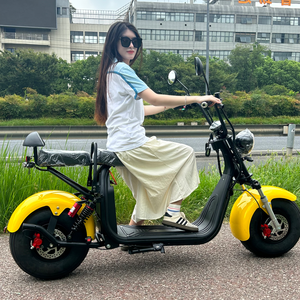 Citycoco Scooter <span class=keywords><strong>E</strong></span> <span class=keywords><strong>Bike</strong></span> EEC COC 2000W 45 km/h 60V 20Ah Batería Neumáticos gordos Colores personalizados Unisex para adultos - Product Image 2