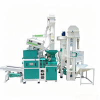Machine à moudre le riz personnalisable 20tpd 1000kg/H pour une efficacité optimale