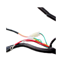 Harnais de câblage moteur entièrement électrique personnalisé pour moto, gaine en nylon/PVC, conducteur en cuivre étamé
