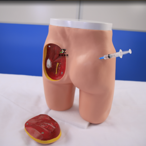 Modèle avancé d'injection musculaire fessière et de structure anatomique - Modèle d'enseignement médical et de formation - Product Image 2