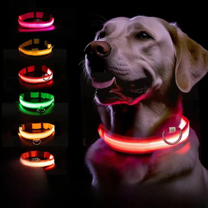 Collar de perro LED electrónico para mascotas Rarewe, recarga de Flash ajustable, collares de nailon reflectantes para mascotas, productos para perros antipérdida nocturna - Product Image 2