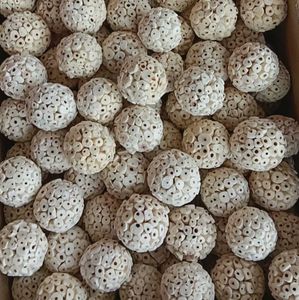 Doğal bitki kök top çiğnemek oyuncak papağanlar için yumuşak Sola topu gaga yem oyuncaklar atiatiel Conure Budgie Parakeets - Product Image 6