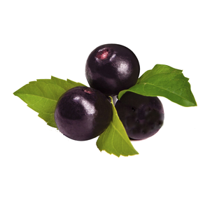 USDAオグラニックアサイ果実粉末EU有機アサイベリー粉末NOPオグラニックアサイ粉末 - Product Image 3