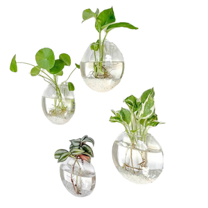 Jarrón de cristal de lujo para colgar en la pared, estilo rústico francés, para plantas hidropónicas, ideal para decoración de mesa de condolencias o exhibición de flores en el hogar familiar. - Product Image 6