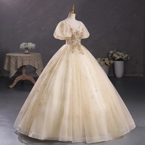 Champagne Puff Sleeve Performance Dress Women Stage Wear Tutu Skirt College Exam Solo Singing Coming Of Age Ceremony Hostess - Product Image 3