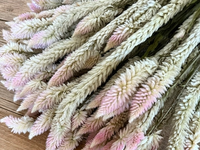Celosia Ekor Phoenix Kering Yunnan Grosir, Alami Asli Ramah Lingkungan, Bulu Sisir Ayam Tahan Lama, Bunga Vas Rumah Gaya Boho