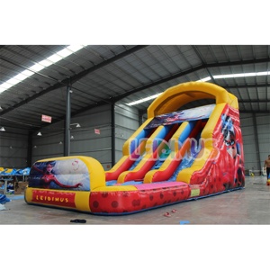 Toboggan aquatique Offre Spéciale commercial gonflable Tale of <span class=keywords><strong>Ladybug</strong></span> Cat <span class=keywords><strong>Noir</strong></span> maison de rebond piscine videur gonflable Double toboggan à louer - Product Image 3
