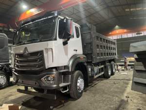 Camión Volquete Minero Nuevo Howo 6x4 Euro 2 Diésel, 10 Ruedas, 11-20T de Carga, Volante a la Izquierda, Cámara Trasera, 251-350HP, 6-8L - Product Image 1