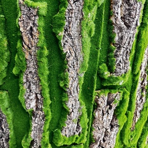 Mur d'écorce de mousse synthétique d'écorce de chêne simuler l'écorce d'arbre avec de la mousse - Product Image 3