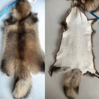Peau de raton laveur naturelle de qualité supérieure, fourrure de raton laveur véritable en gros avec queue pour manteaux et colliers de luxe