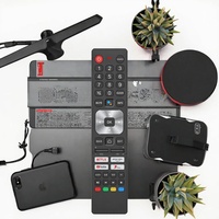 En stock Télécommande étanche avec fonction vocale SH-V12 SHWRMC0137N Télécommande vocale à utiliser pour les téléviseurs intelligents Sharp AQUOS 24FH2EA 32FH2EW