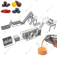 Ligne de production de concentré de confiture de pulpe de machine de jus de traitement de pêche/abricot/prune haute efficacité remplissage aseptique de tambour