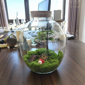 Jarrón <span class=keywords><strong>de</strong></span> Vidrio <span class=keywords><strong>de</strong></span> Diseño Único, Exhibición <span class=keywords><strong>de</strong></span> Plantas Aéreas <span class=keywords><strong>de</strong></span> <span class=keywords><strong>Mesa</strong></span>, Terrario <span class=keywords><strong>de</strong></span> Vidrio con Tapa <span class=keywords><strong>de</strong></span> <span class=keywords><strong>Corcho</strong></span> <span class=keywords><strong>para</strong></span> Decoración del Hogar - Product Image 4