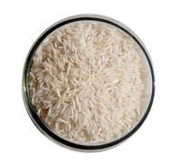 Riz Offre Spéciale Sona Masoori ou cuisine traditionnelle du sud de l'Inde ou boîtes à lunch et cuisines domestiques disponibles au prix d'usine