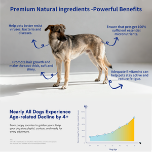 Complément alimentaire multivitaminé pour chiens Beiyuan, complexe B naturel et vitamines A/D, soutient la santé des articulations, du <span class=keywords><strong>cœur</strong></span> et du système immunitaire des chiens âgés - Product Image 5
