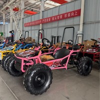 Buggy Offroad 212CC Kecepatan Tinggi 4x4 Go Kart Dengan Roll Cage untuk Berkendara di Bukit Pasir dan Jalur Hutan