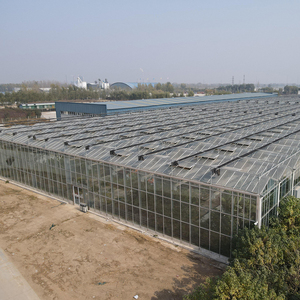 Serra Agricola Multi-Span Grande Starfarm in Stock per Idroponica di Pomodori con Copertura in Lastre di Policarbonato - Basso Costo, Alta Resa - In Offerta - Product Image 1