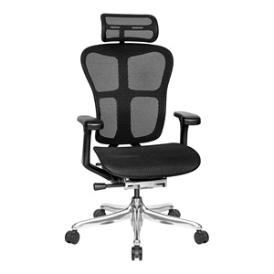 Modern High Back Ergonomic Mesh Black Aluminum <b>Office</b> <b>Chairs</b> - Product Image 1