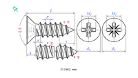 304 Stainless Steel Metric M2 Fine Thread Class 4 Extra-Long Self-Tapping Wood Screws