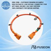 Harness Sensor Sistem Manajemen Baterai (BMS) yang Dapat Disesuaikan, Kabel Pengambil Sampel Baterai Lithium, Kabel Sinyal Penyimpanan Energi