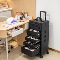 Valise de maquillage professionnelle à roulettes avec miroir éclairé, grands tiroirs, chariot cosmétique, poignée télescopique, rangement pour salon