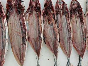 ספק מאכלי ים סין יצוא דגים טריים וקפואים סיירי דגים מזעריים שוק המזון אפריקאי - Product Image 5