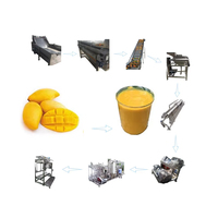 Automatische industriële productielijn voor het pasteuriseren en verwerken van verse mango's tot sap en pulp, met een capaciteit van 3-8T/uur en uitgevoerd in roestvrij staal.