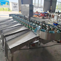 Automatische avocado- en groentegewichtsorteermachine met nauwkeurige temperatuurregeling voor fruit- en groenteverwerkingsbedrijven