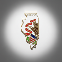 GREPAS GIFTS Épinglette de revers plaquée or en forme de drapeau de l'État de l'Illinois, 1,25 pouce