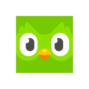 Cuenta Premium Duolingo Pro 1 Año, Activa Tu Propia Cuenta, Aplicable Globalmente en Todo el Mundo - Product Image 3