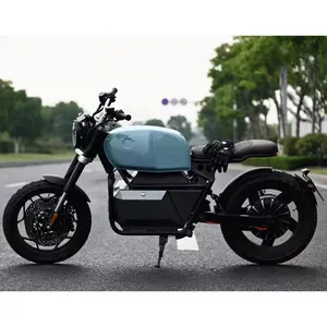 ER200EECホット販売高性能4000WブラシレスDCモーター電動クロスモーターサイクル