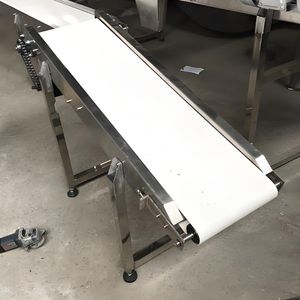 Endüstriyel gıda sınıfı PU paslanmaz çelik konveyör-modüler tasarım kolay temizlik ayarlanabilir hız anti-statik yeni OEM kabul - Product Image 6