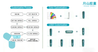 Capsules végétales dures vides YS sans TiO2, de qualité pharmaceutique, solubles dans l'estomac, pour usage santé et pharmaceutique, personnalisables