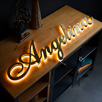 Letras 3D con Retroiluminación LED para Recepción de Negocios, Logotipo Metálico Luminoso para Fachada, Letrero Personalizado para Exteriores de Edificios
