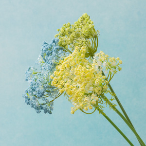 Grand bouquet de fleurs artificielles en dentelle style Instagram, décoration minimaliste pour la maison et le bureau, fleurs en soie haut de gamme polyvalentes pour mariage - Product Image 5