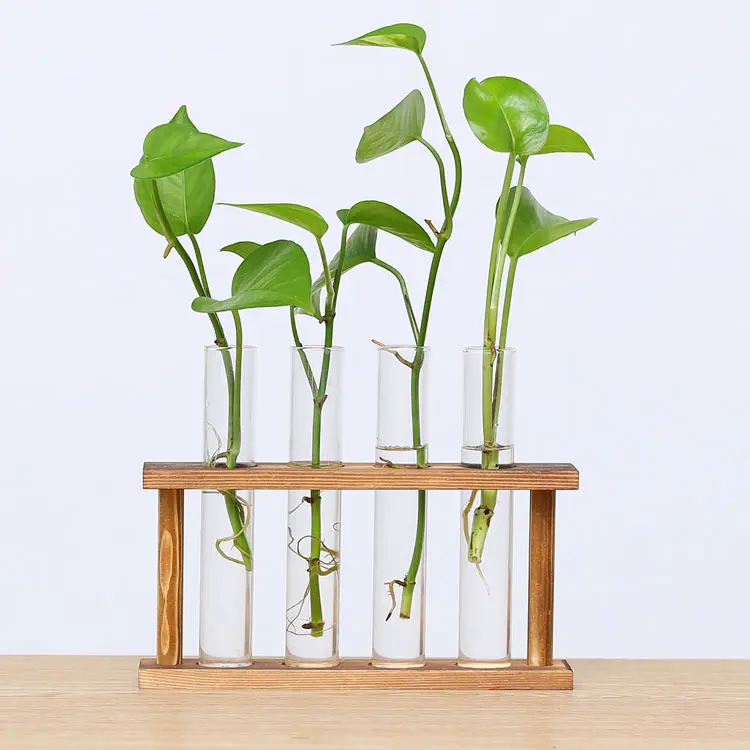 Hot Sale Home Decor Wood Frame Glass Test Tube Vase Propagation Station Home Decor Desktop Mini Plant Hydroponic Glass Vase