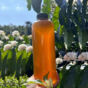 Miel de Ámbar Pura de Alta Calidad 70-80 Brix en Botella, Miel de Flores Natural para la Industria Alimentaria y Mezclas de Bebidas 1kg //NICKY - Product Image 1