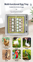Incubateur à œufs automatique WONEGG Promotion Chicken 36 œufs, incubateur à œufs pas cher à vendre